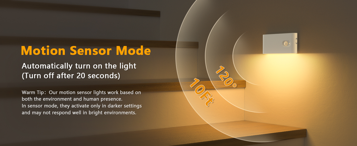motion sensor light