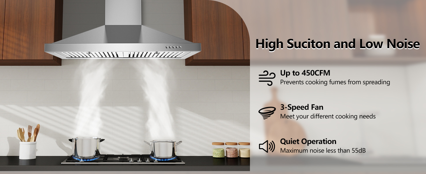 Insert Range Hood with 450cfm Suction