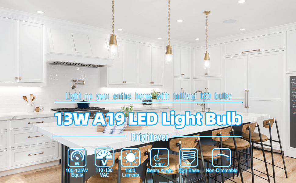 13W A19 LED Light Bulb