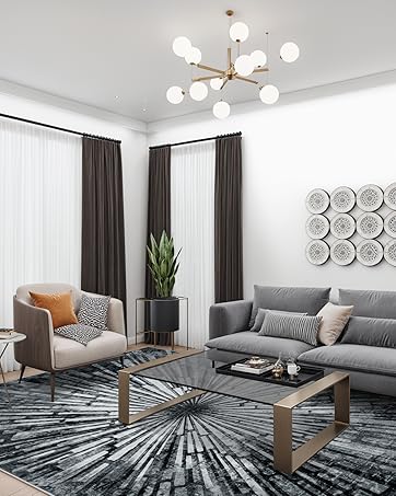 Lahome Splash Area Rugs