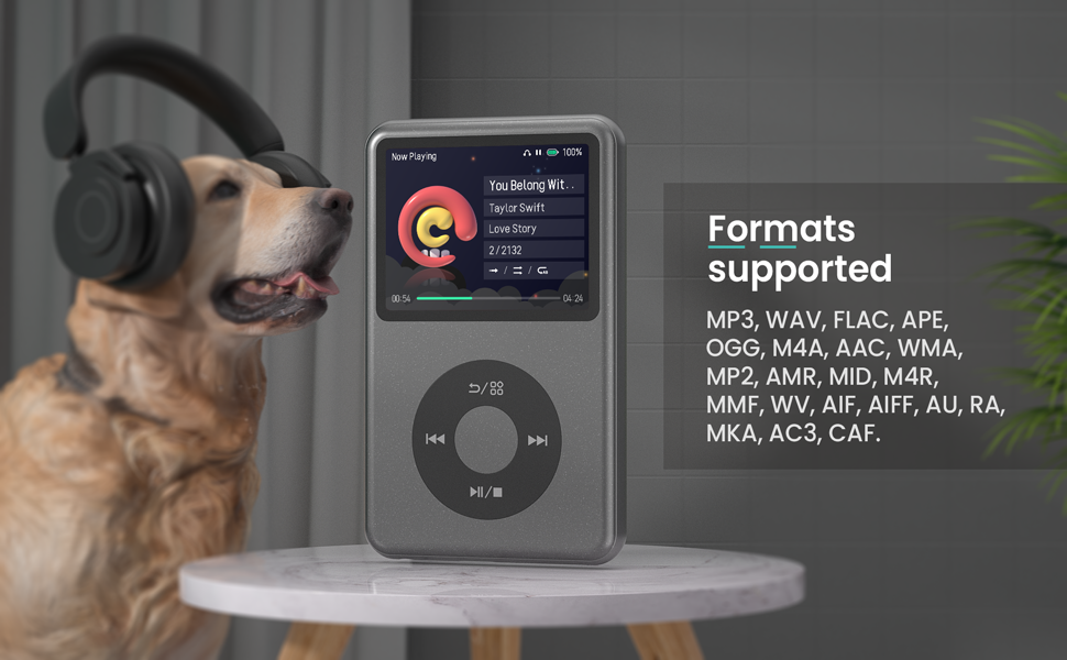 mp3 player hifi music player mp4 playlist management