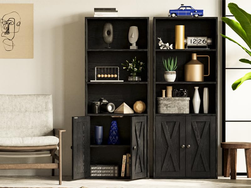 bookcase with door