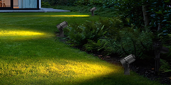 Landscape lighting