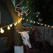outdoor string lights