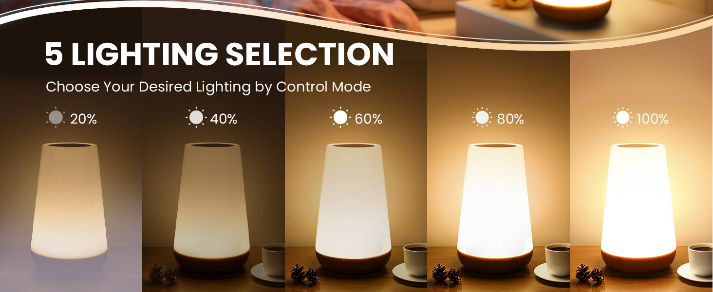 Night Light Lamp