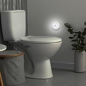 toilet  light
