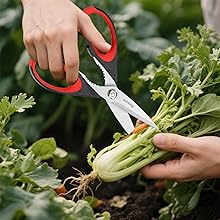 garden tools