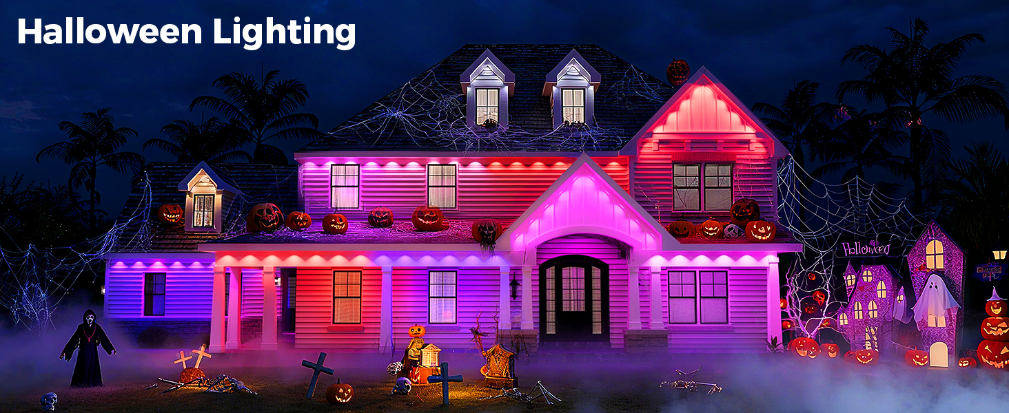 Permanent Outdoor Lights