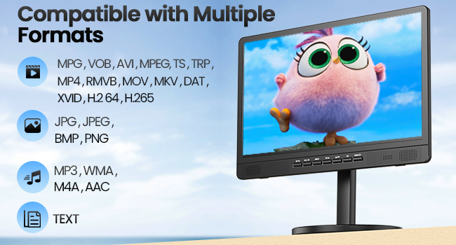 portable tv