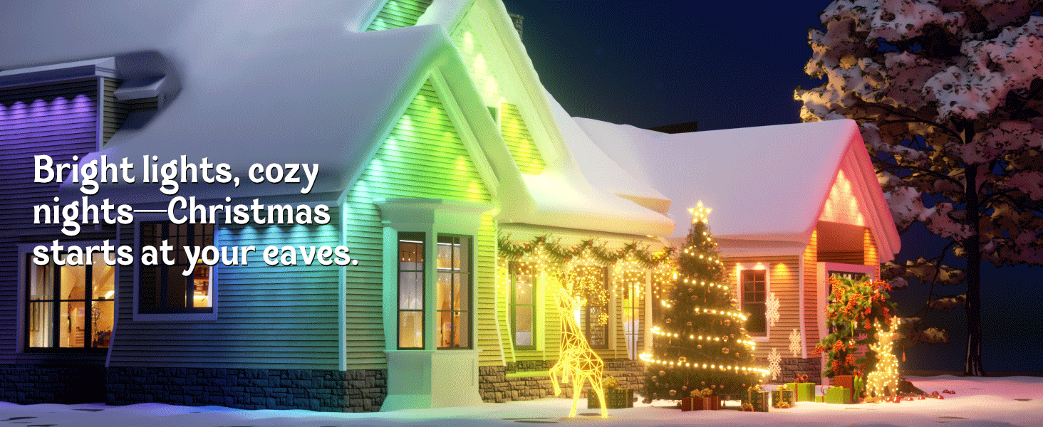 Permanent Outdoor Lights