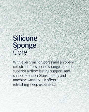 Silicone Sponge