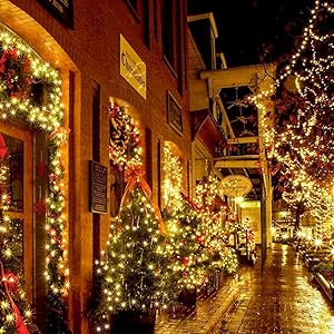 Outdoor Christmas Lights