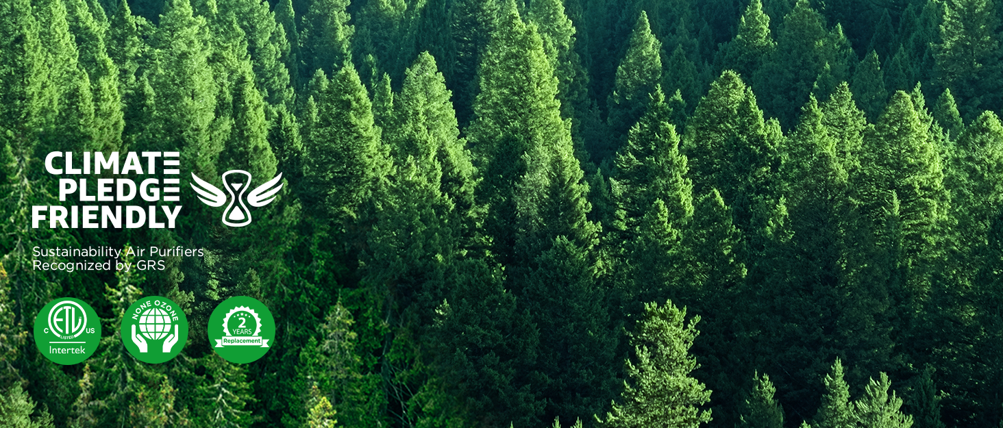 air purifier air purifiers for home air purifiers for bedroom air purifier for dorm air purifiers