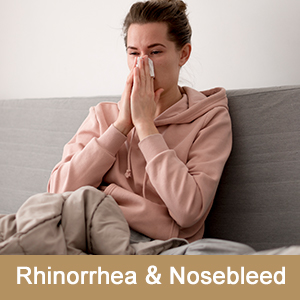 Wood Stove Steamer Fireplace Humidifier