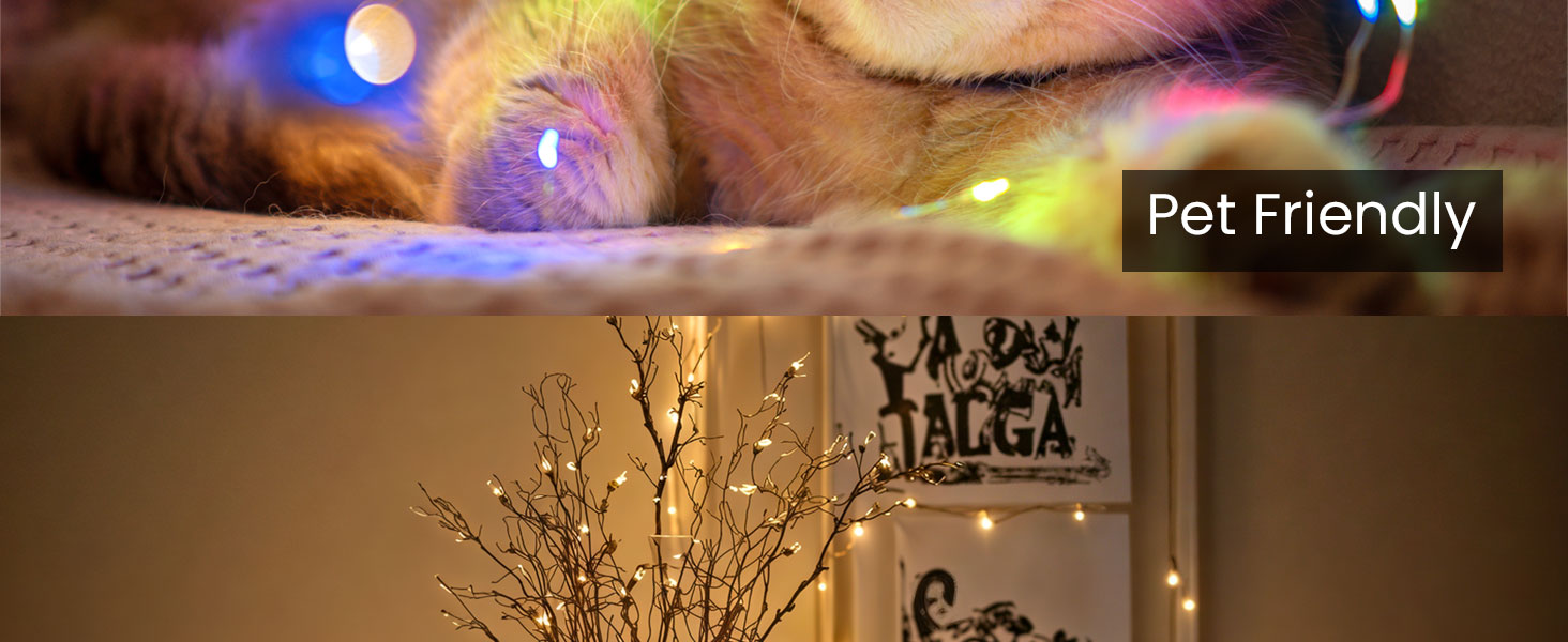 multicolor string lights