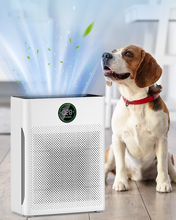 air purifier air purifiers for home bedroom air purifier for dorm with washable filt