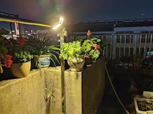 camping motion sensor light