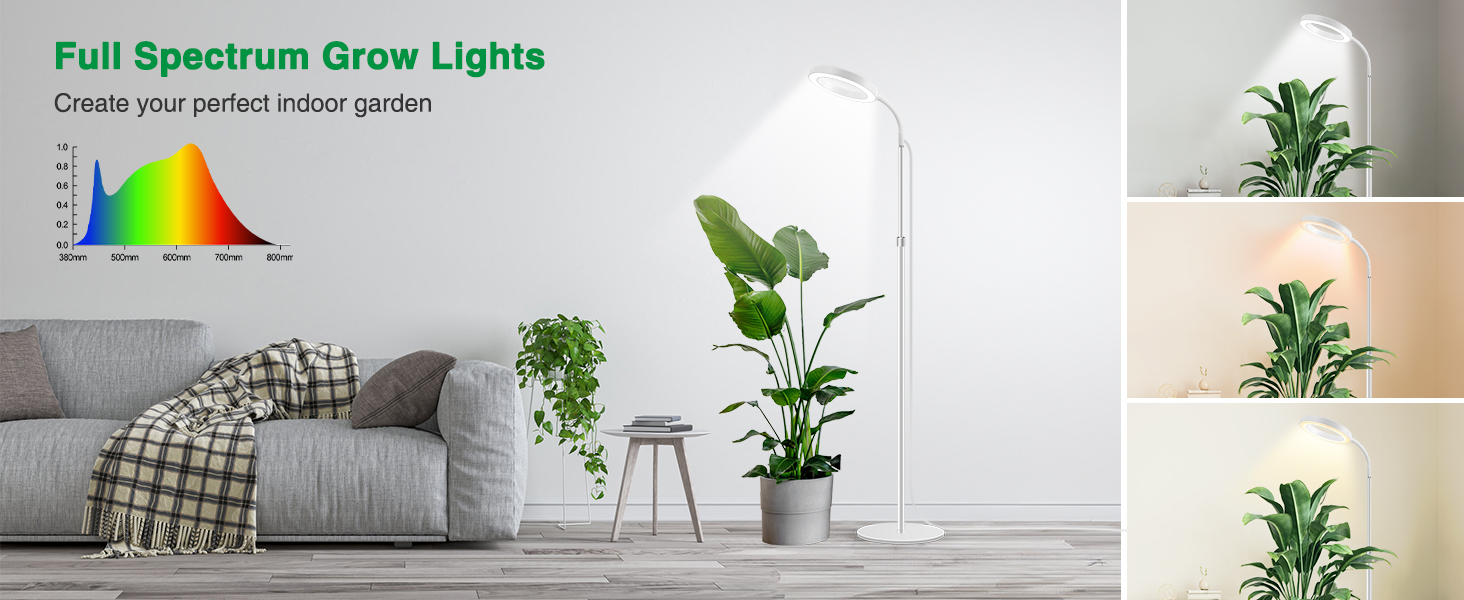 plant light