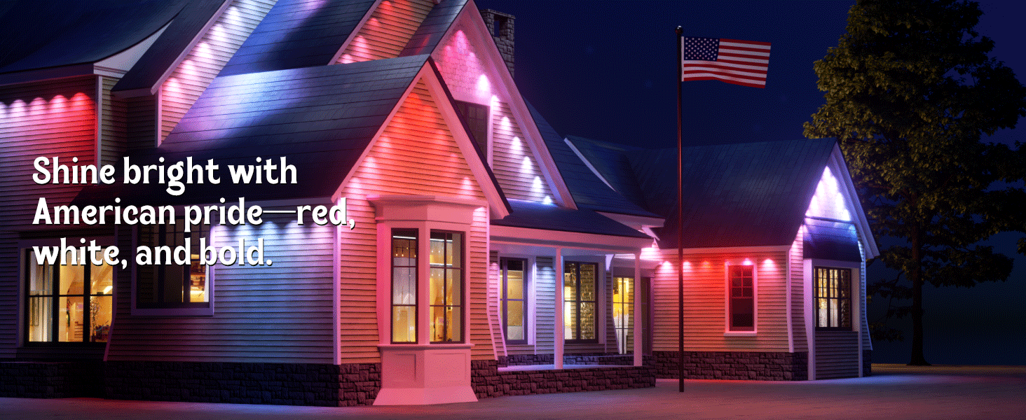 Permanent Outdoor Lights