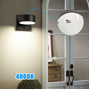 outdoor wall sconce 4000K