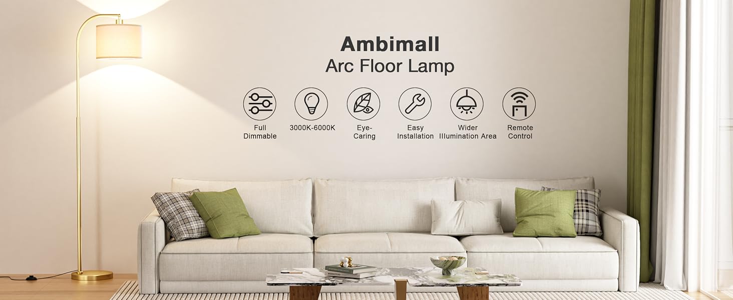 Universally Adaptable Floor Lamp