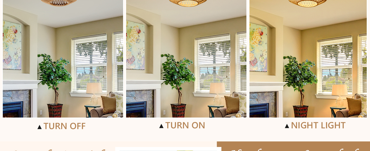 rattan light fixture