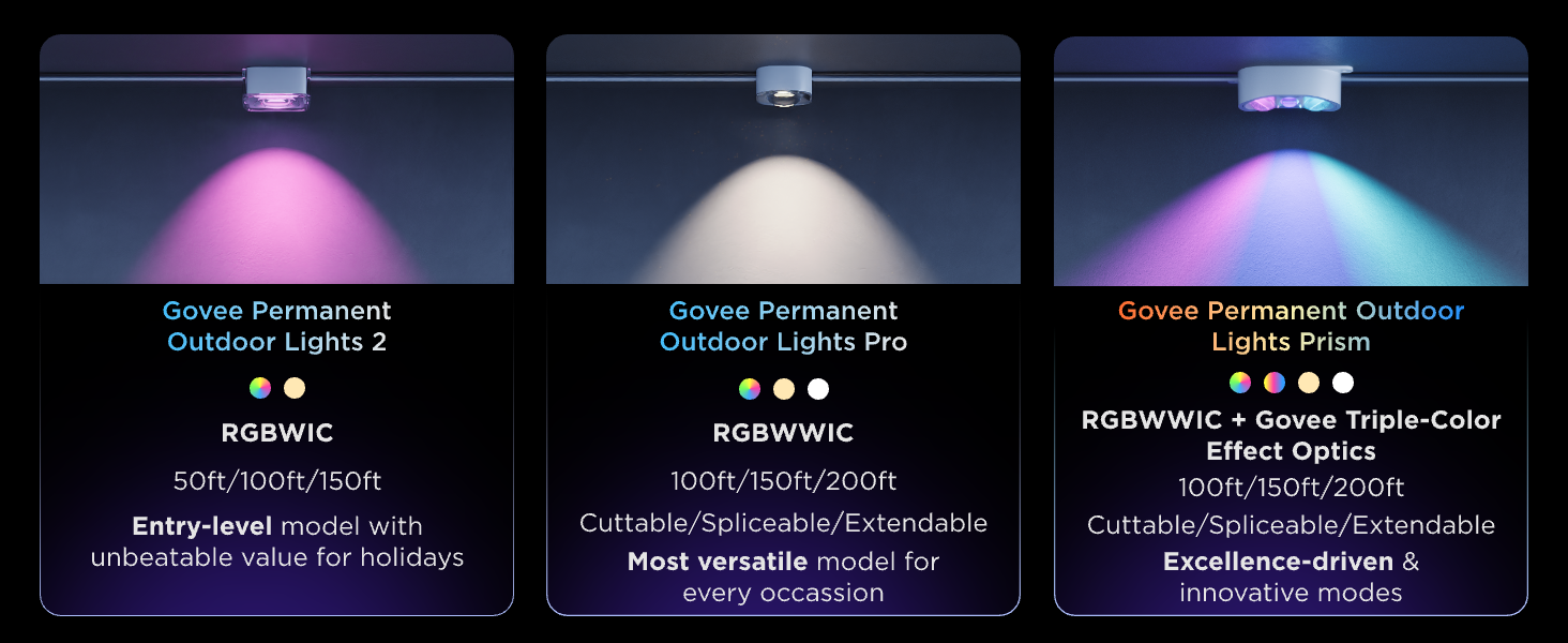 permanent outdoor lights