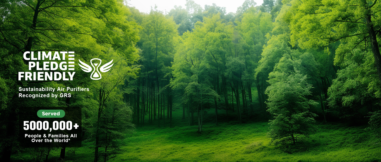 air purifiers for home large room pets