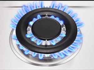 Triple Ring 12,000 BTU burner