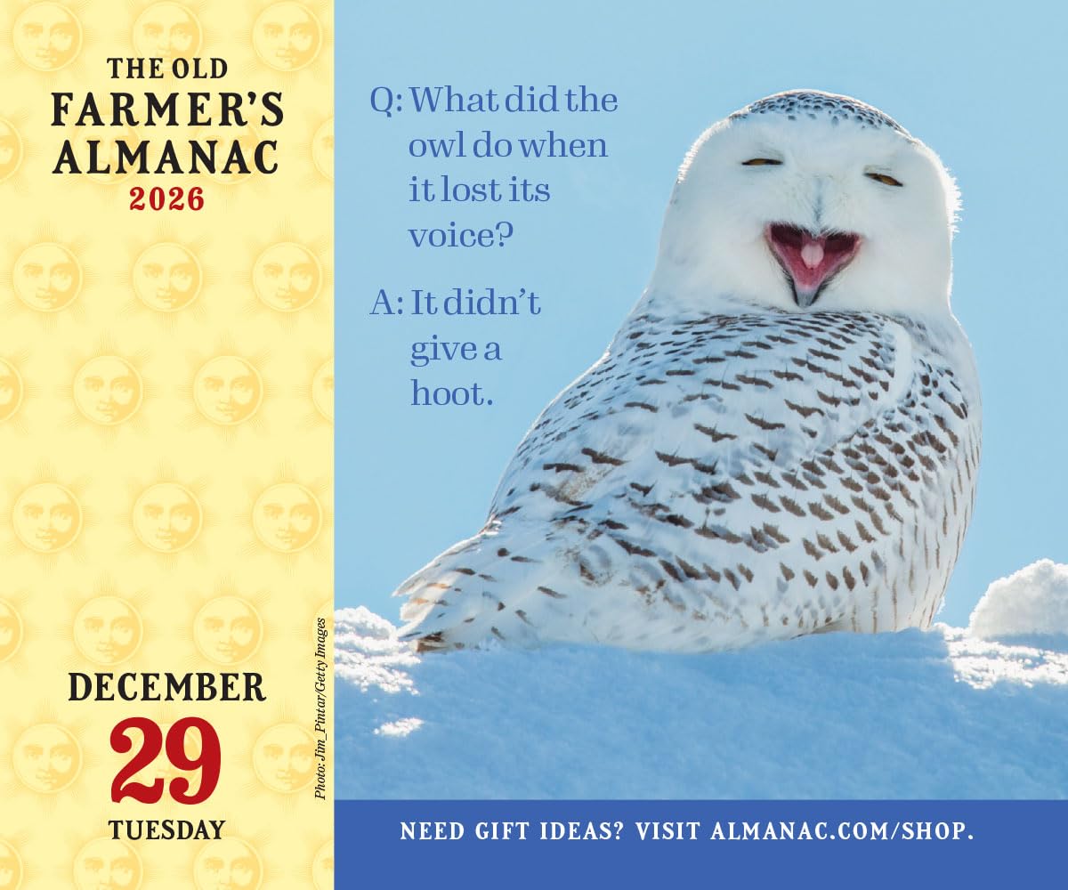 The 2026 Old Farmer's Almanac Everyday Box Calendar - Image 3