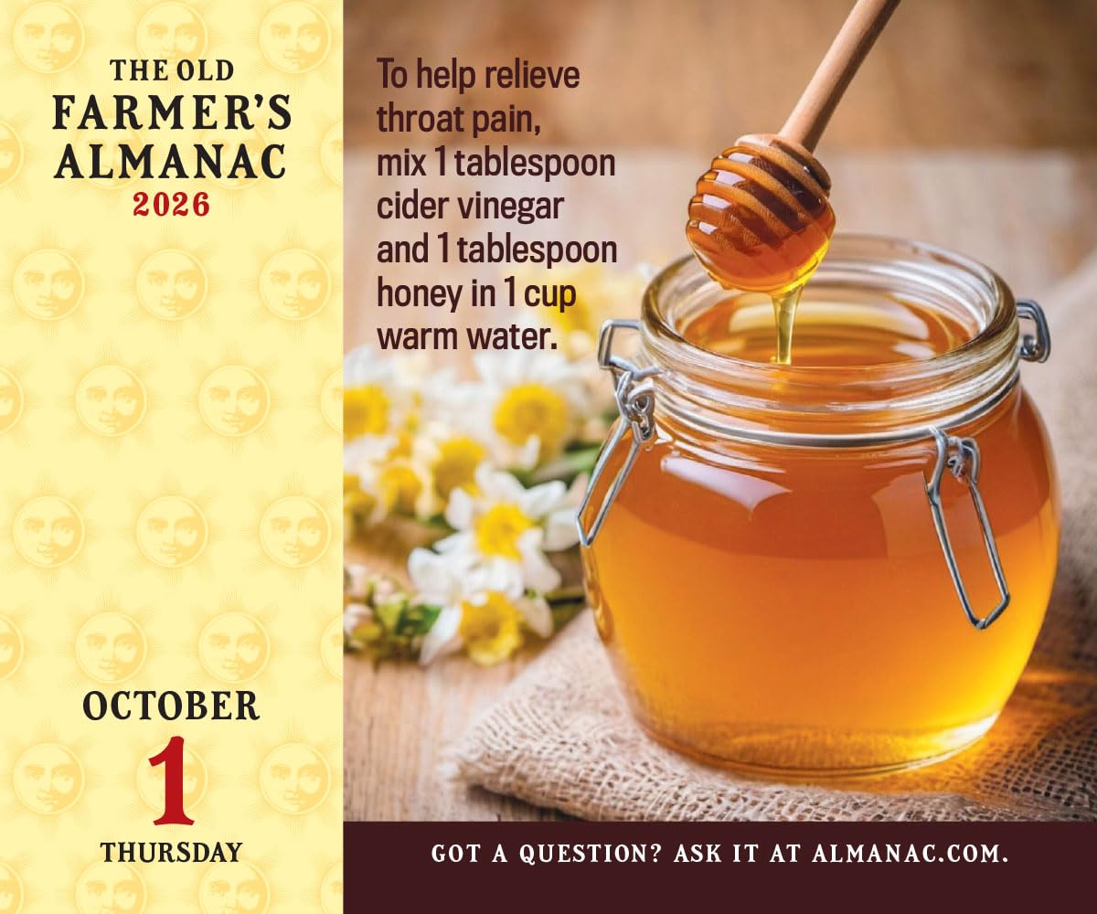 The 2026 Old Farmer's Almanac Everyday Box Calendar - Image 5