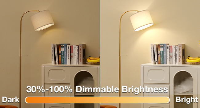 brightness adjustable