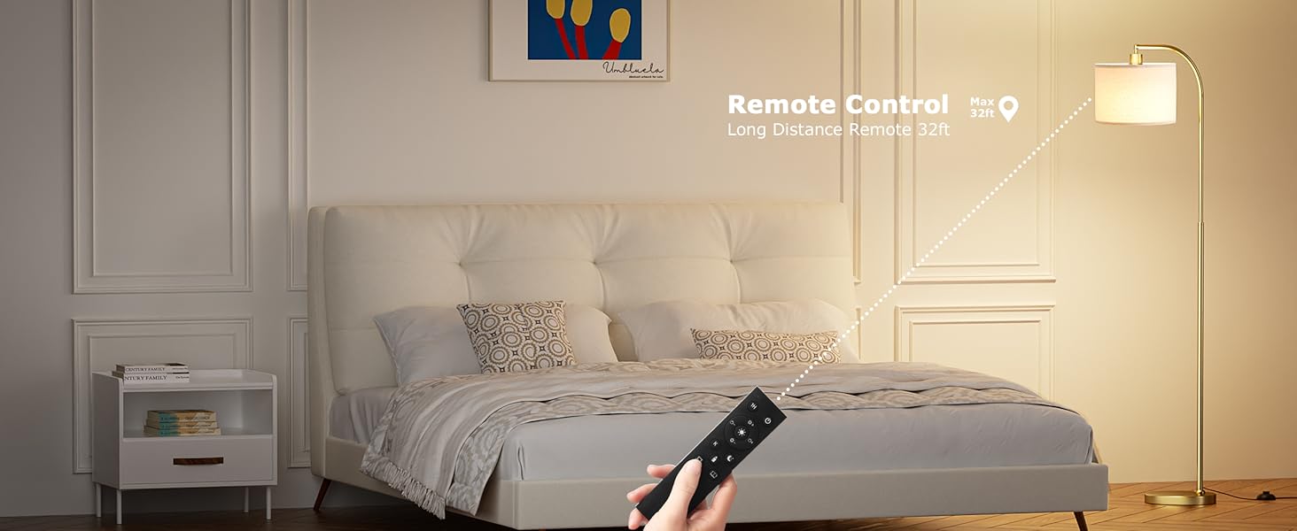 remote control