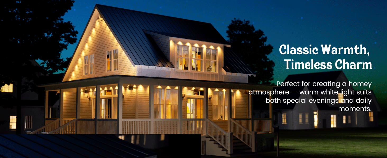 Permanent Outdoor Lights