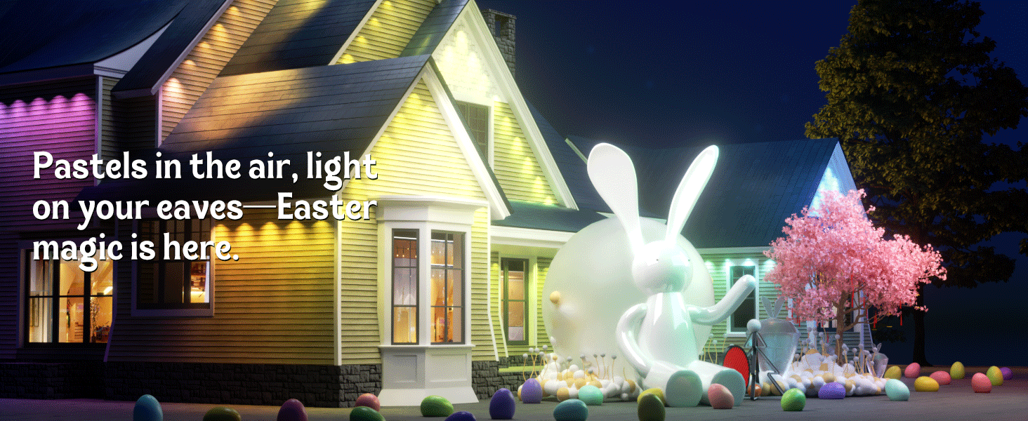 Permanent Outdoor Lights