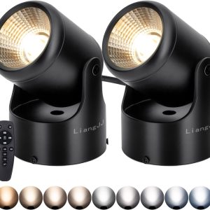 2 Pack 12W LED Spot Lights Indoor with Timer, Remote, Stepless Adjustable Color Temperature, Dimmable, 6000K Accent Up Lights Floor Can Light, Uplighting Spotlights for Indoor, Plant, Artwork