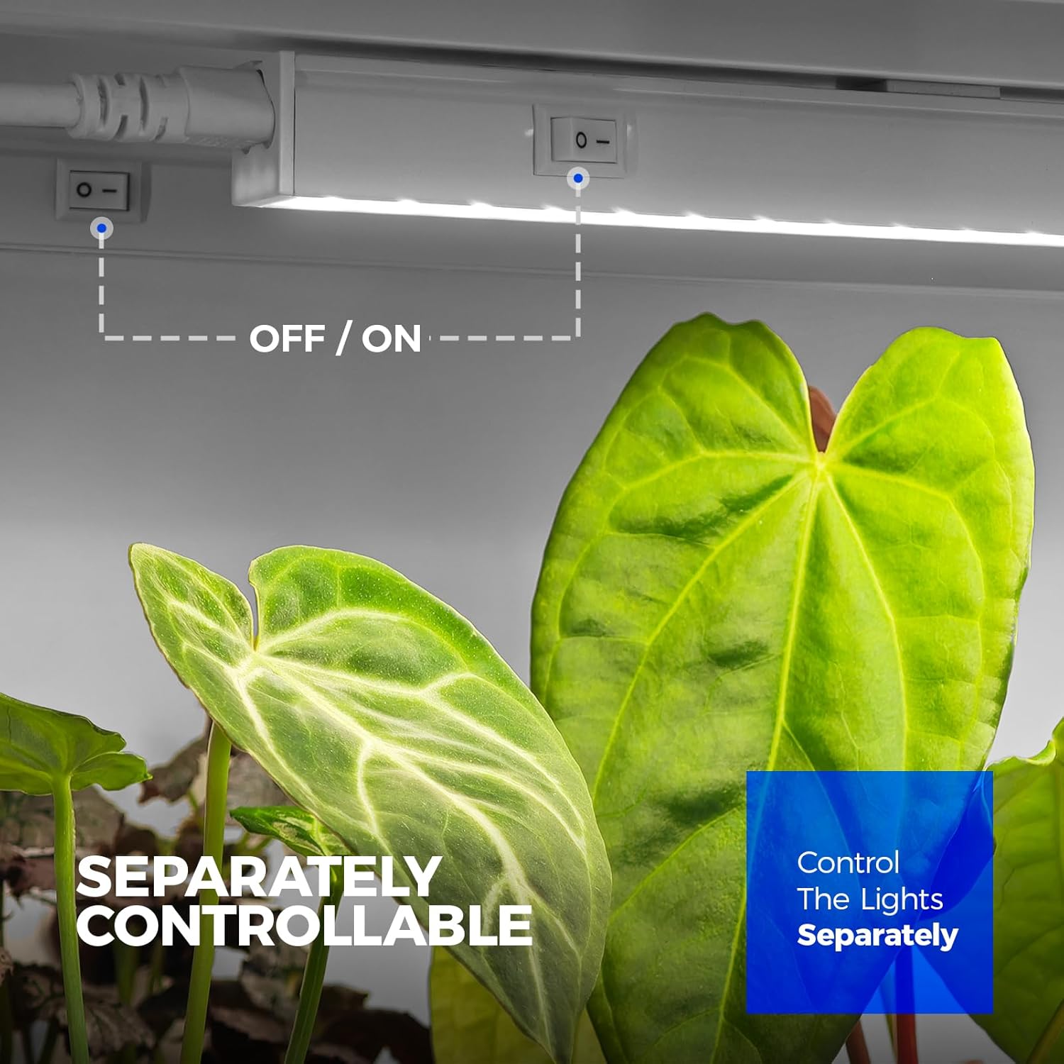 Barrina T5 Grow Lights for Indoor Plants, 5000K Full Spectrum, 1FT LED Growing Lamp, Plant Light Strip, for Seed Starting, Vegetables, Plug and Play, 4-Pack - Image 5