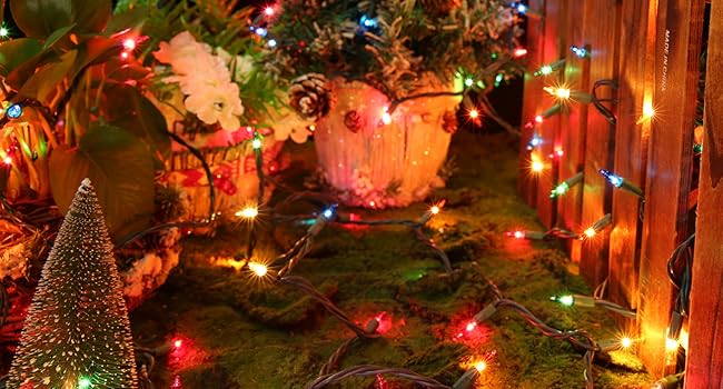 led christmas lights indoor