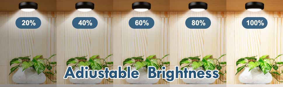 puck lights with remote