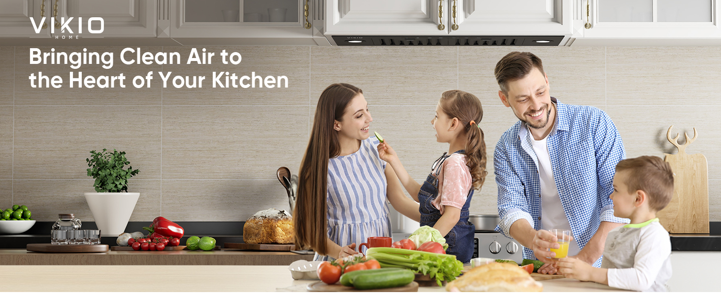 range hood insert 30 inch