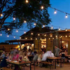 G40 Incandescent Bulb