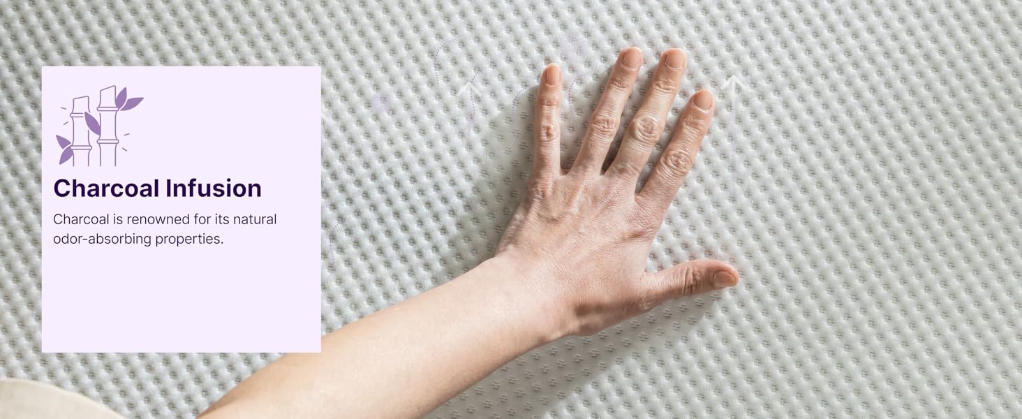 charcoal is renowned for its natural odor-absorbing properties.