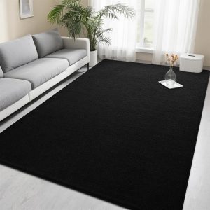 Foxmas 4x6 Area Rugs for Bedroom Living Room, Black Soft Thickened Memory Foam Carpet, Non-Slip Washable Indoor Modern Minimalist Shaggy Rug for Boys Girls Dorm Home Decor