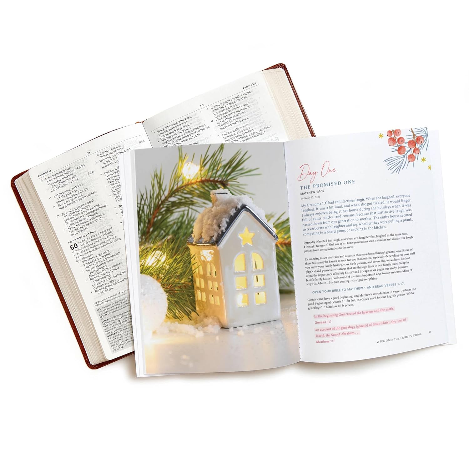 Joy to the World - Advent Bible Study Book with Video Access: Celebrating the Good News of Christmas - Image 9