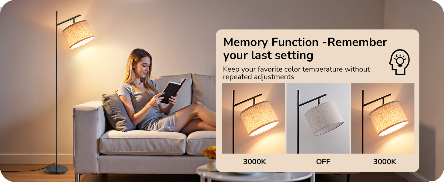 Floor Lamps for Living Room