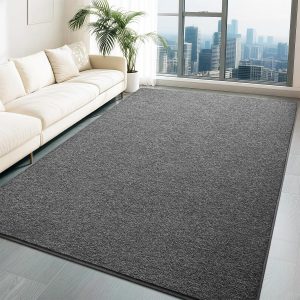 HQAYW 4x6 Area Rugs for Living Room Bedroom, Modern Thickened Memory Foam Soft Rug, Indoor Low Pile Minimalist Washable Non Slip Carpets for Kids Girls Boys Nursery Dorm Home Decor, Dark Grey