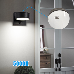 outdoor wall sconce 5000K