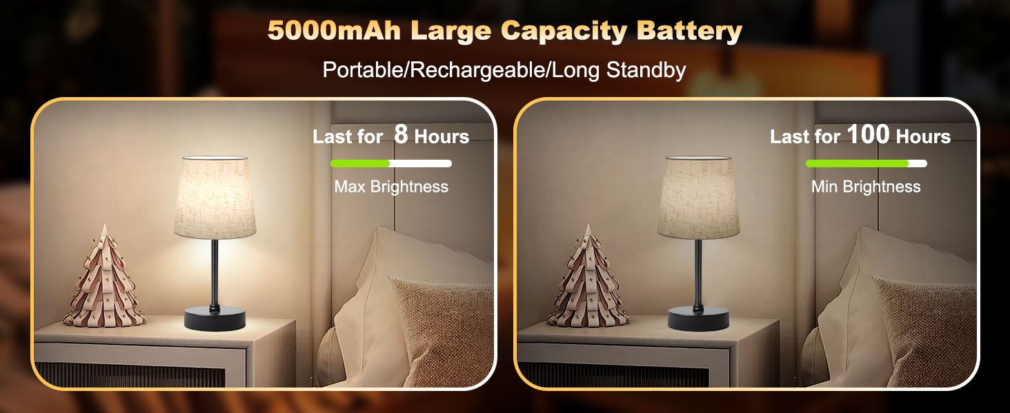 Portable LED Desk Lamp