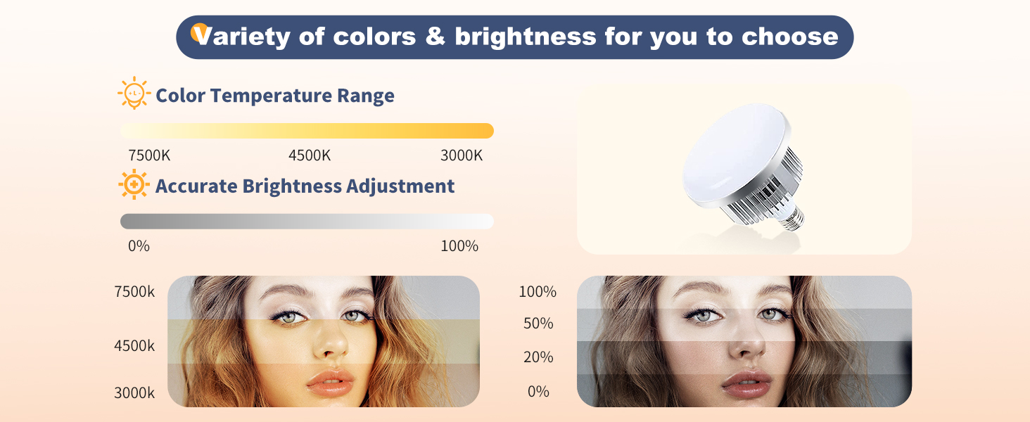 Softbox Photography Lighting Kit