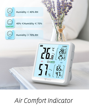 Room Thermometer